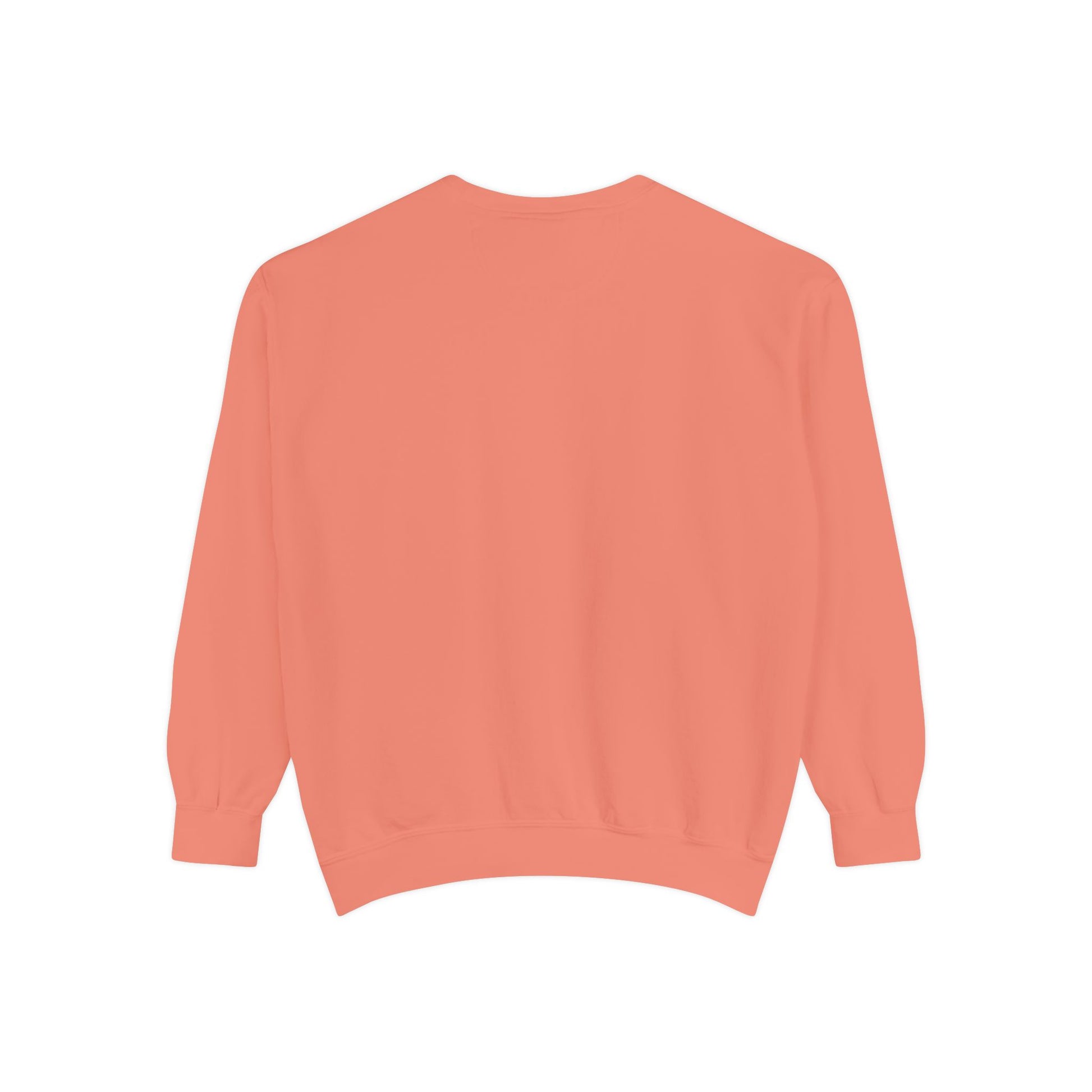 Coral sweatshirt on a white background